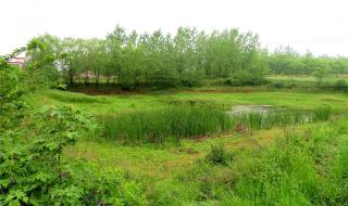 河南新农村建设规划